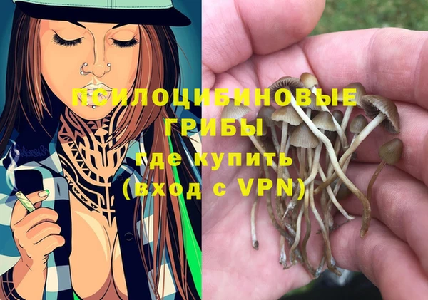 синтетический гашиш Приозерск